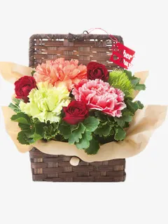 好看的康乃馨免抠