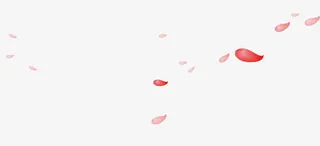 漂浮花瓣免抠