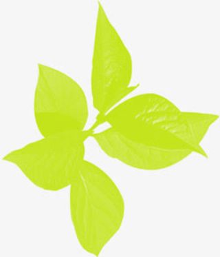 绿色春天树叶环保免抠