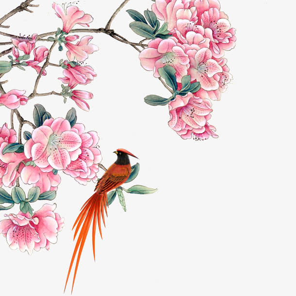 花鸟图免抠