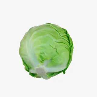 新鲜青甘蓝免抠