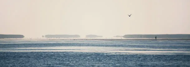 海边广告banner创意设计