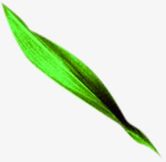 绿色清新手绘竹叶风光设计免抠