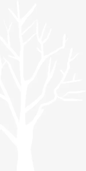 手绘冬季白色树枝免抠