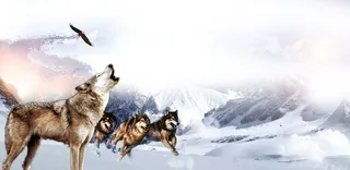 战狼海报背景素材高清