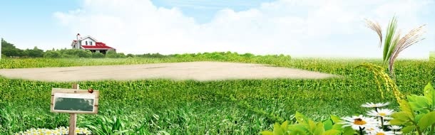 创意自然简约背景