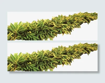 花圃花坛园艺免抠