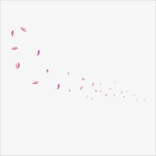 花瓣免抠