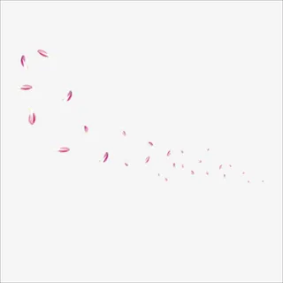 花瓣免抠