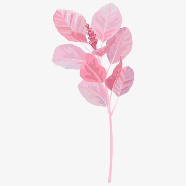 粉色的树叶免抠