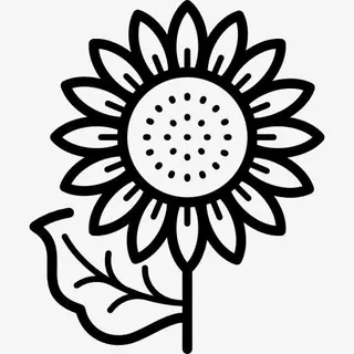 向日葵图标免抠