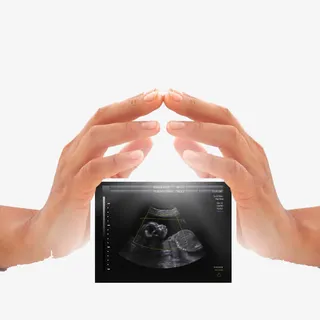 B超高清免扣素材免抠