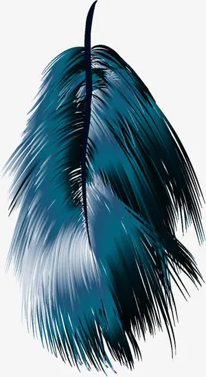手绘羽毛免抠