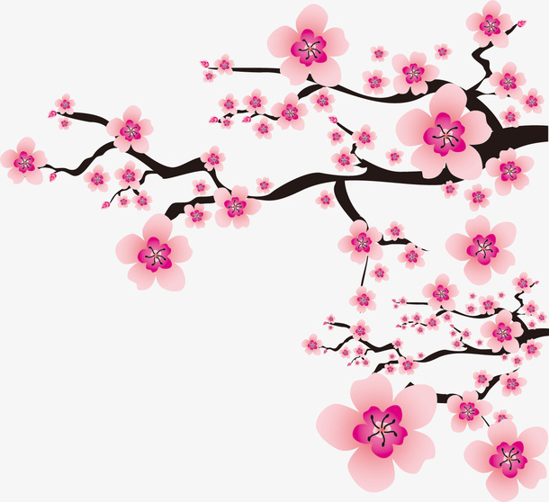 立冬冬天梅花08免抠
