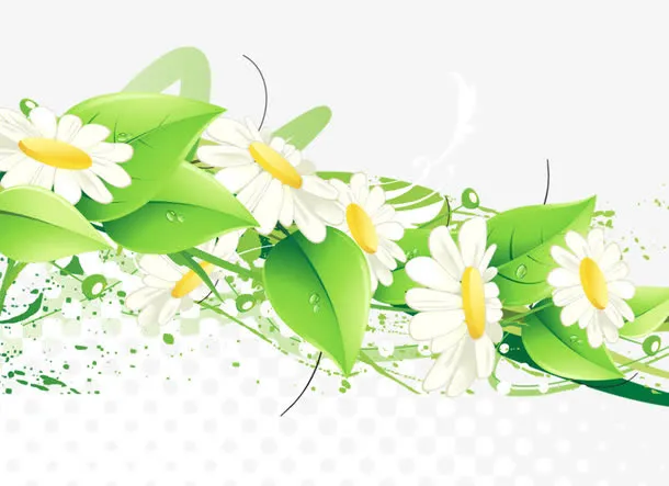 菊花花丛免抠