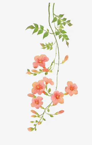 水彩粉色春天鲜花免抠