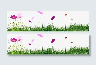 雏菊花草地免抠