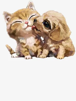 狗和猫免抠