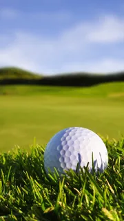 高尔夫球H5背景高清 高尔夫球H5背景高清