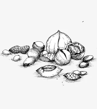 手绘坚果免抠