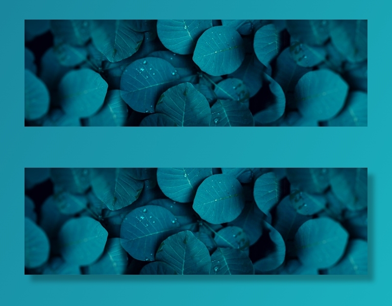 淘宝小清新绿色化妆品海报banner高清摄影风景背景