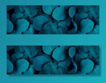 淘宝小清新绿色化妆品海报banner高清摄影风景背景