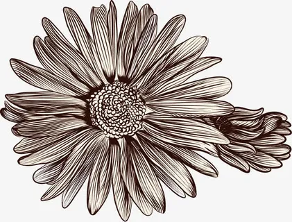 花草背景 花草背景