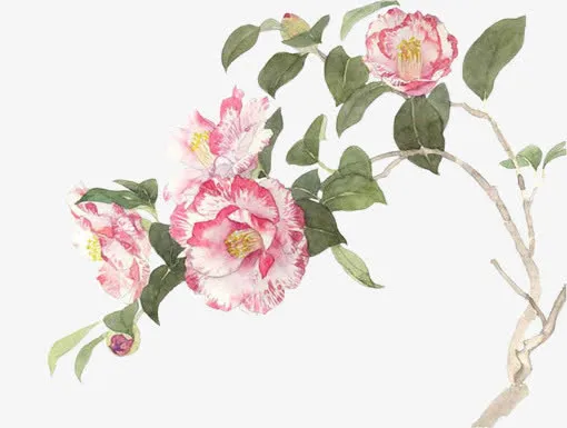 水墨红花叶子花枝免抠