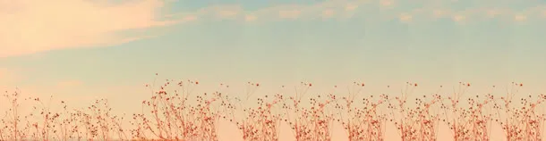 麦田风景免抠