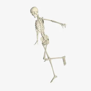 舞动的骷髅人体免抠