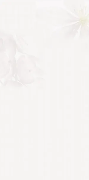 简约花卉高清效果合成免抠