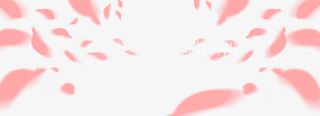 粉红花瓣漂浮装饰免抠