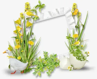 花草边框免抠素材免抠