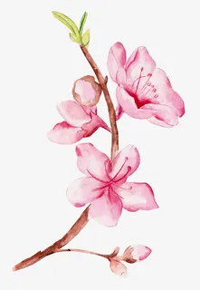 红色桃花发芽春天免抠