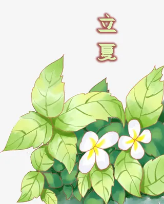 手绘装饰插图立夏节气插画免抠