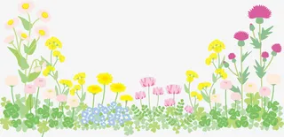 多彩美丽春季花丛免抠