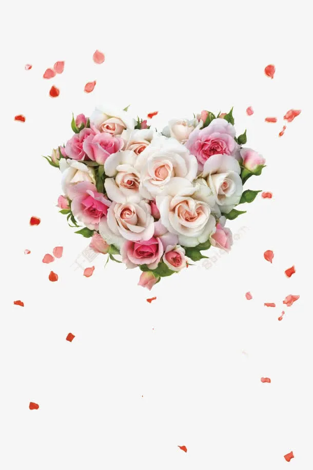 玫瑰花素材免抠