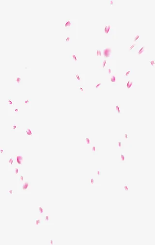 粉色花瓣飘落七夕免抠