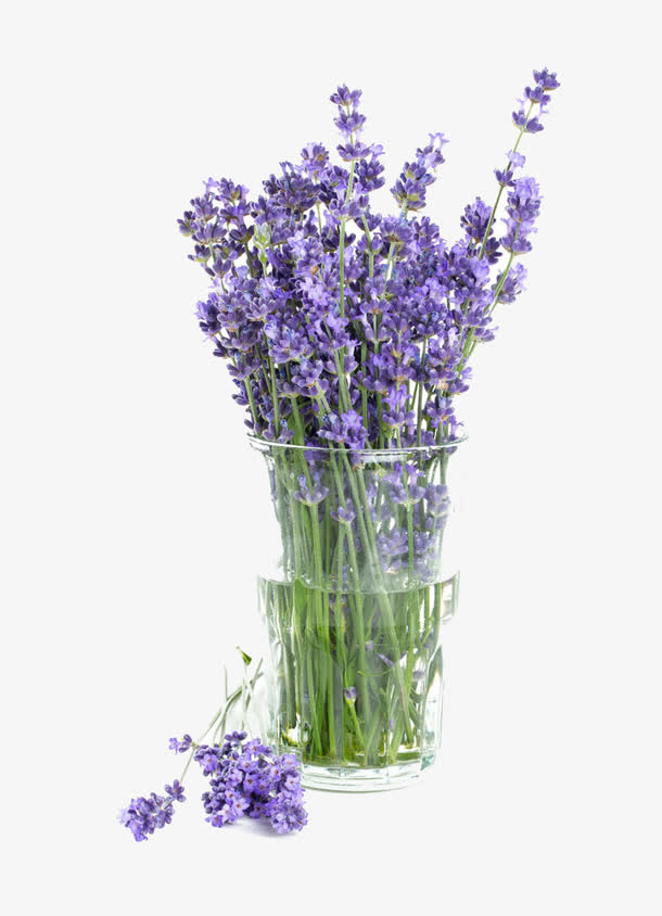 盆栽花束免抠