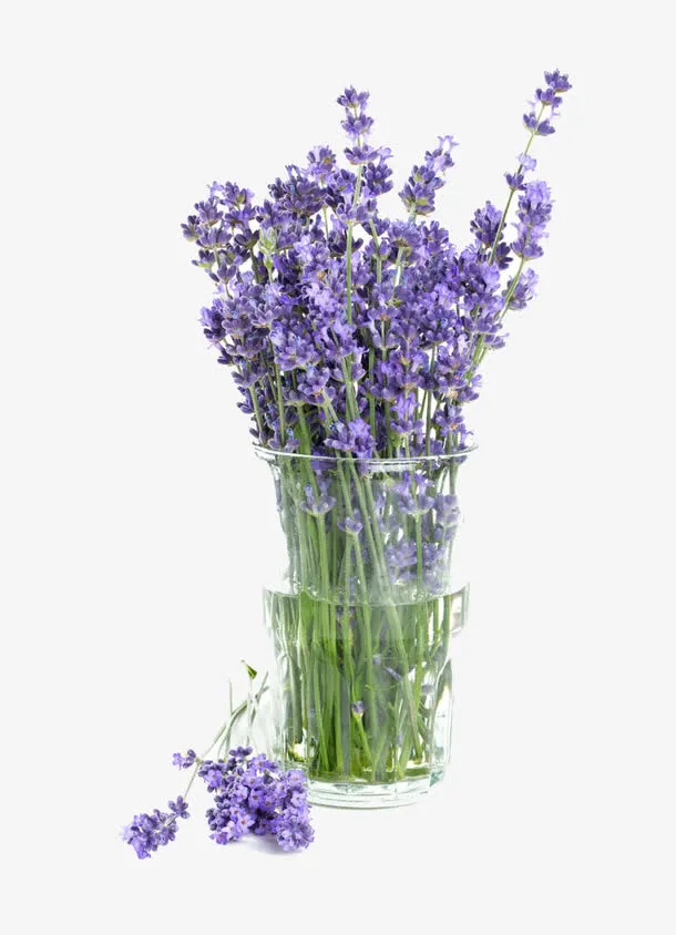 盆栽花束免抠