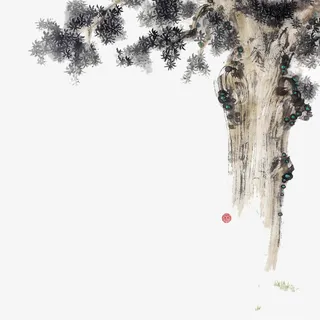 工笔画 松树 配饰 素材免抠