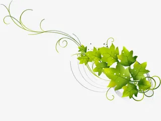 绿色卡通春天植物树叶手绘免抠