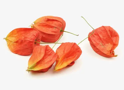 几个干果灯笼果免抠