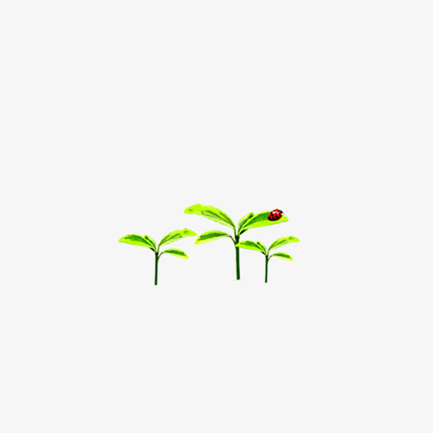 植物 小草 瓢虫免抠