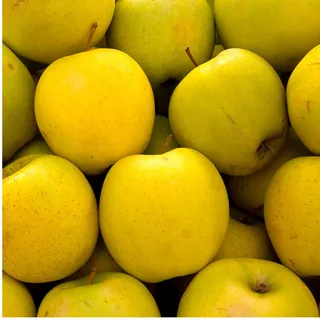 水果蔬菜高清图片免抠