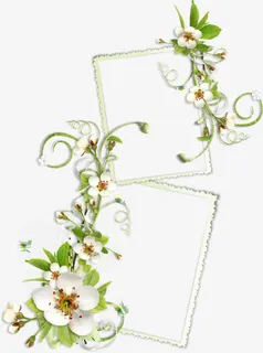 花卉边框免抠