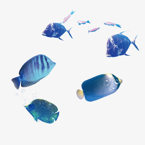 海洋里面的鱼免抠