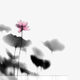 荷花荷叶毛笔水墨画免抠