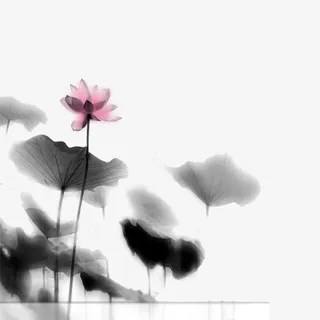 荷花荷叶毛笔水墨画免抠