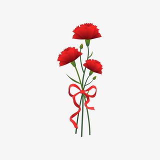 母亲节康乃馨美丽花朵免抠